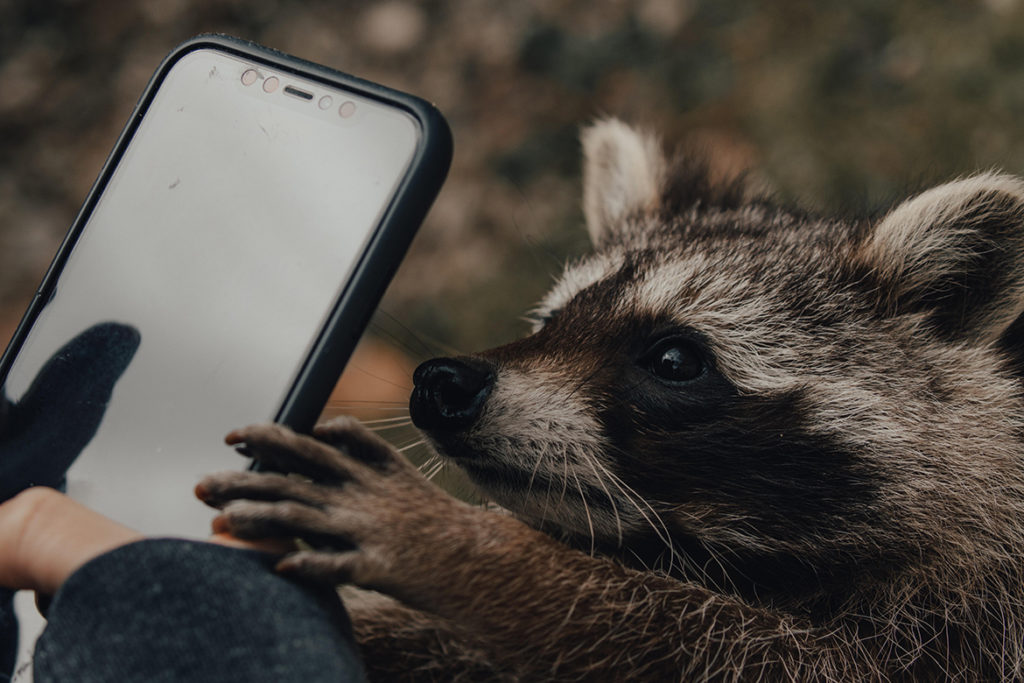 Video Ad Vault finds you any unlisted video from any YouTube Channel so you can see what ads are running in your niche. Image by David Selbert, license under Pexels